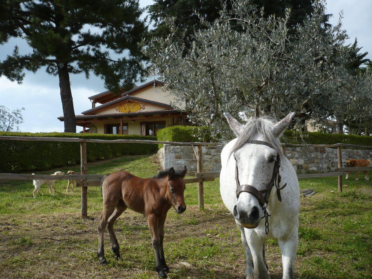 Agriturismo Villa Vea Bellosguardo Eksteriør bilde