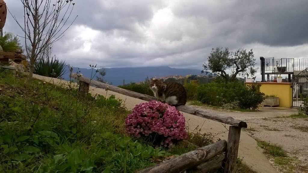 Agriturismo Villa Vea Bellosguardo Eksteriør bilde